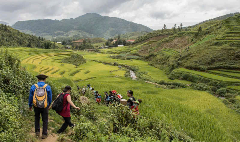 Ảnh trekking Sapa